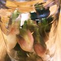 みやざき絵笛's cooksnap of when they made 今年も青梅を漬けました！ カリカリ梅.