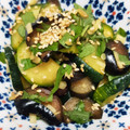 か～ぽ☆'s cooksnap of when they made 茄子と大葉と生姜の漬物.