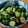 低カロ探検隊's cooksnap of when they made やみつき！きゅうりのダシダ和え.