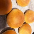 shoco148's cooksnap of when they made 30分完成？不思議パンの湯種バター食パン.