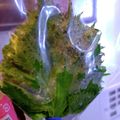 sei460407's cooksnap of when they made NY食堂★スペース不要★大葉の保存.