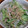 yumelon88's cooksnap of when they made きゅうりと玉ねぎ、しょうがのごま酢和え.