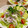 ♡てるてる♡'s cooksnap of when they made さっぱり♡レタスと新タマとシソのサラダ.