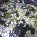 kuro31's cooksnap of when they made 韓国風わかめスープ.