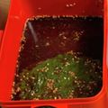 ちんしるさん's cooksnap of when they made 韓国人直伝☆ご飯に合う合うしそキムチ.