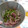かすてら１２'s cooksnap of when they made 切って和えるだけおかずのマリネ.