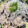 わたるんママ's cooksnap of when they made 釜揚げ桜えびと釜揚げしらす干しの二色丼.