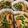 たこあんこ☆'s cooksnap of when they made お弁当_冷凍_水菜と油揚げ炒め.