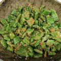 クック1DNB4P☆'s cooksnap of when they made 平いんげんのゴマ味噌和え.