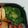 G_Yossan's cooksnap of when they made ブロッコリーの白だし合え.