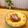 Moe_o8o8's cooksnap of when they made 【簡単！エッグタルト】.
