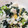 クックH0JYVW☆'s cooksnap of when they made 切って和えるだけ 白和え風サラダ.