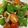 おかすんよ's cooksnap of when they made きのこと夏野菜のバターだし醤油炒め.