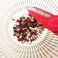 フジぽん's cooksnap of when they made 簡単飛び散らない唐辛子の輪切り.