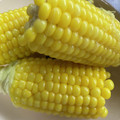 ちゃぎー's cooksnap of when they made 今井家のトウモロコシの茹で方.