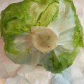 pnkdiamond's cooksnap of when they made レタス　長く保存する方法.