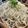 koiko亭's cooksnap of when they made ざるうどん&ざるそばに！冷うどん つゆ.