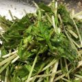 solamama☆'s cooksnap of when they made 祝☆話題入り混ぜるだけ♪簡単水菜サラダ.