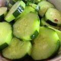 りょうこ☆彡's cooksnap of when they made 昆布茶で即美味なきゅうり★.