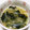 もぐ・ω・くま's cooksnap of when they made 簡単★玉ねぎとワカメの味噌汁.