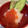 chou*'s cooksnap of when they made 簡単酢の物＊大根おろしとイクラ♪.