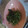 kyokoha's cooksnap of when they made 茎わかめとほうれん草のナムル風味.