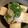 saki1010's cooksnap of when they made ♬麺つゆで食べる揚げ出し豆腐♬.