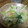 凪なぎ's cooksnap of when they made パパッと♪えびと青梗菜のマヨ炒め.