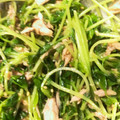 ☆ayami☆26's cooksnap of when they made 【簡単★副菜】豆苗とツナのおひたし.
