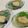 papikun's cooksnap of when they made わらびもち　１０分.