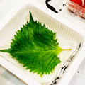 hiromi_ja's cooksnap of when they made 長持ち新鮮な大葉保存方法.