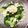 クックZFKRE9☆'s cooksnap of when they made ブロッコリーのエッグサラダ(ダシ風味).