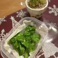 青空にうかぶくも's cooksnap of when they made 生バジル保存法☆.