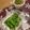青空にうかぶくも's cooksnap of when they made 生バジル保存法☆.