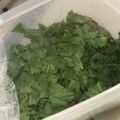 ユカtoマオマオ's cooksnap of when they made モロヘイヤ★茹でる代わりにレンジで楽々♬.