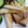 キャシーキャサリン's cooksnap of when they made エリンギのねぎ塩炒め.