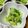 あいあんまみー's cooksnap of when they made 超簡単★青梗菜とアミエビの和え物.