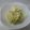 まほじょ's cooksnap of when they made キャベツナ.