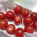 うね子ちゃん's cooksnap of when they made 新鮮☆トマト保存方法.