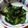 たかたかっち♪'s cooksnap of when they made モロヘイヤとオクラの もりもり和え.