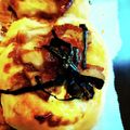 ピコチ's cooksnap of when they made 惣菜パン生地　作りやすい扱いやすい生地.