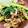 はみころ's cooksnap of when they made 小松菜と茶えのきの簡単和え物.