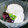 PGTips's cooksnap of when they made 簡単デザート♪生クリーム×ヨーグルト.