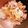 はるくん１'s cooksnap of when they made とろーり親子丼.