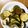 Kame0304's cooksnap of when they made あと一品！ズッキーニのチーズ炒め.