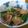 りずか's cooksnap of when they made 簡単！時短！オクラとベーコンの炒めもの.