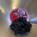 ピーナッツ子♪'s cooksnap of when they made 赤紫蘇の作り方☆梅干し.