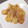 あたりめっこ's cooksnap of when they made 生たこの中華づけ風.