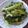 クック00Q0QZ☆'s cooksnap of when they made コチュジャン美味しい小松菜.