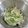 tamago大好き's cooksnap of when they made オクラと玉葱のマリネ.